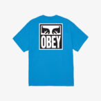 OBEY EYES ICON 2