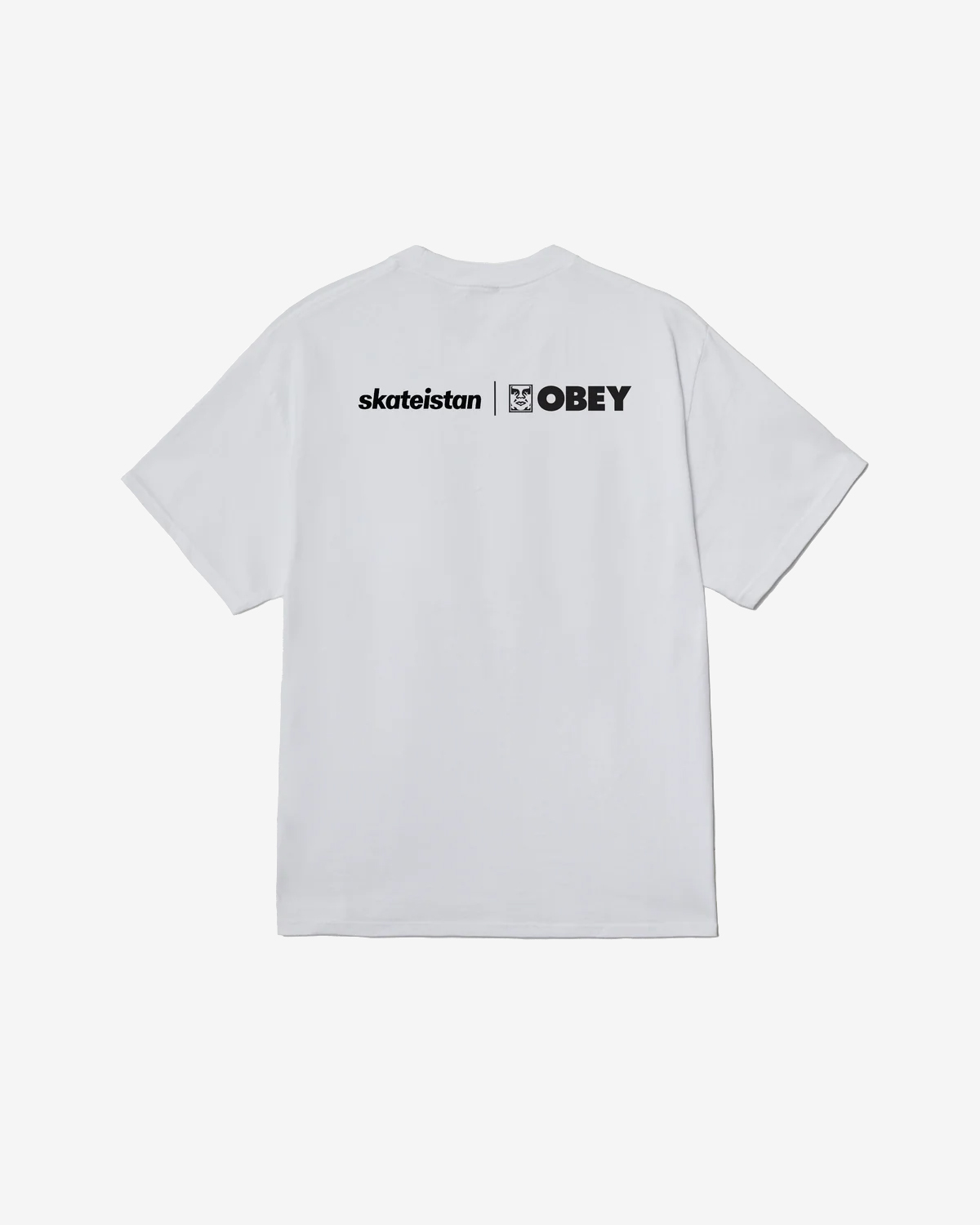 SKATEISTAN / OBEY PHOTO - Image 2