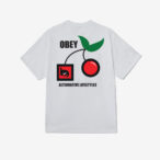 OBEY ALTERNATIVE LIFESTYLES
