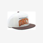 THROWBACK SNAPBACK HAT