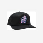 Postman Snapback