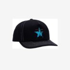 Falling 5 Panel Snapback