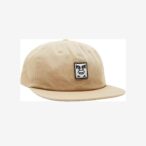 Icon Patch Panel Strapback