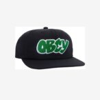 Roll Call 6 Panel Classic Snapback