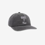 PIGMENT POSSE 6 PANEL SNAPBACK HAT