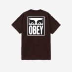 OBEY EYES ICON 2