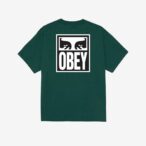 OBEY EYES ICON 2