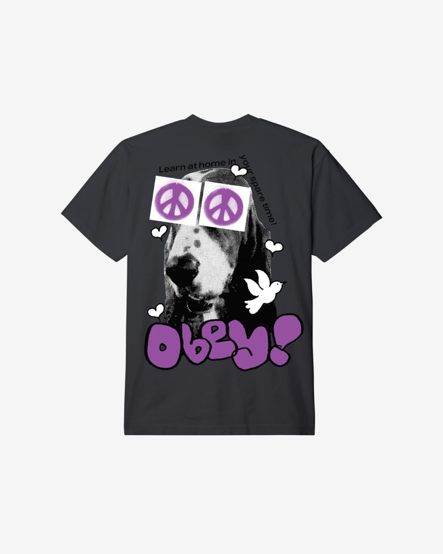 Obey Peace Eyes Heavyweight Classic Box T-Shirt