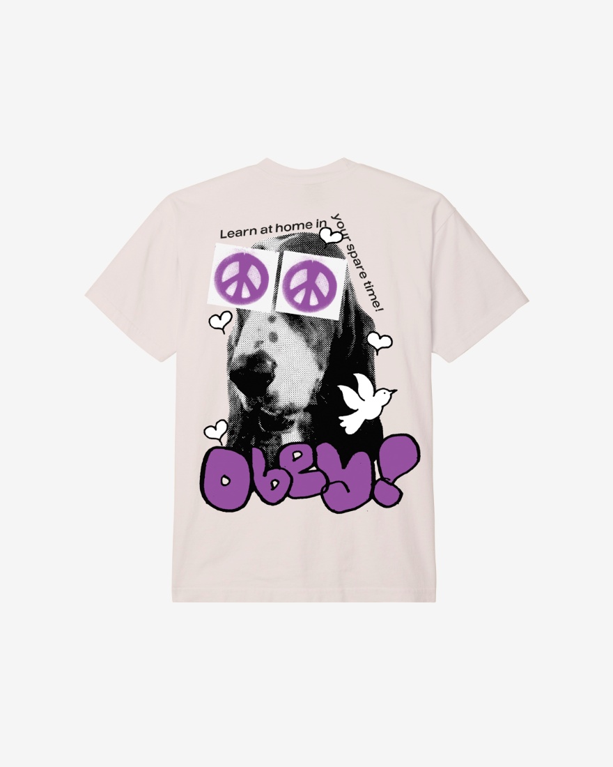 Obey Peace Eyes Heavyweight Classic Box T-Shirt