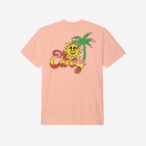 Island Of Obey Heavyweight T-Shirt