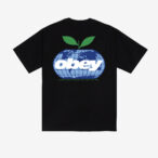 OBEY INTERCONTINENTAL