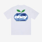 OBEY INTERCONTINENTAL