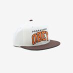 THROWBACK SNAPBACK HAT