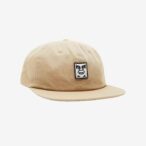 Icon Patch Panel Strapback