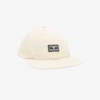 Icon Eyes 6 Panel Strapback II